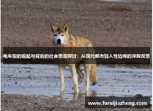 电车狼的崛起与背后的社会思潮探讨：从现代都市到人性边缘的深刻反思